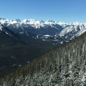 Meet your Posher, Danika